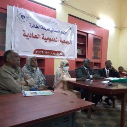 فشل عمومية الريشة الطائرة