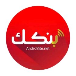 توقيف زعيم شبكة اجرامية متخصصة في الاحتيال عن طريق تطبيق بنكك
