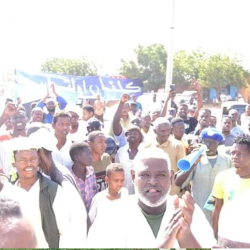 احتفاء انيق في مدني بالهلال