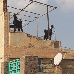 (كورة سودانية) تفتح ملف إستاد رفاعة والتدهور المريع الذي طاله