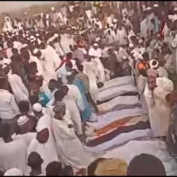 الجزيرة تستغيث (٤)