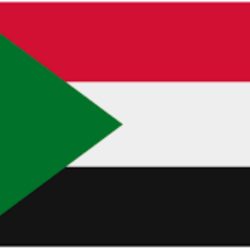 لماذا يعاقب السفير؟