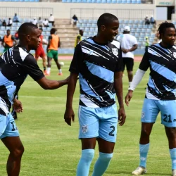 بوتسوانا تعود إلى كأس الأمم الأفريقية بعد غياب 12 عاما