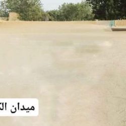ميدان الكوكب نيالا يستضيف المرحلة الأخيرة من دوري الأحياء
