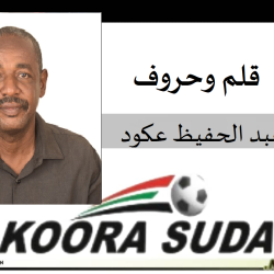 هل الحرب سببا مباشرا في هبوط الاهلي شندي من الممتاز؟؟؟؟