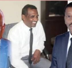 لجنة الاستئنافات المنتخبة ترفض إستئناف نادي الموردة القضارف ضد قرار لجنة المسابقات