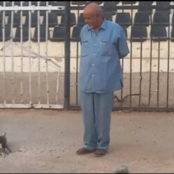 المليشيا المتمردة تستهدف بالمسيرات استاد الأبيض الدولي