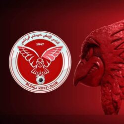 الأهلي كوستي يكون لجنة للتسجيلات الرئيسية المقبلة