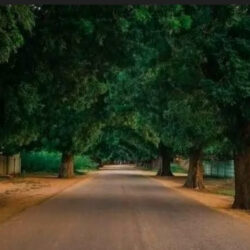 بدعوات كل ضحايا عصابات آل دقلوفي بارا.. حيث ترتاح النفوس المسافرة إلى البقاع الحالمة..!