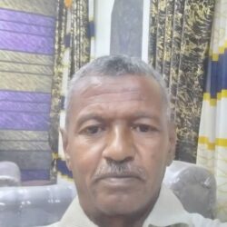 الاسد مديرا لدائرة الكرة بالرومان