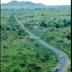 الدلنج تشهد تطورات خطيرة:الحلو يعرض حياة أكثر من مائتي ألف مواطن لخطر الموت جوعاً