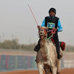 الفارس السودانى يتأهل إلى نهائي الهجن بمطية (شاهين)